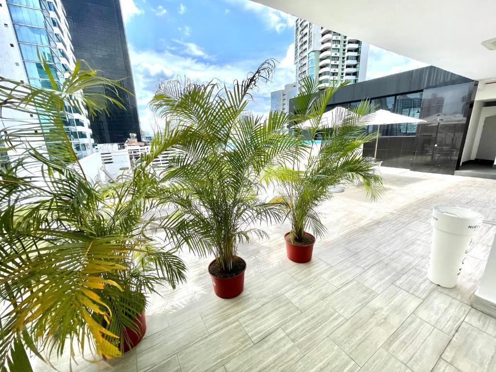 W Panama Hotel Exterior photo